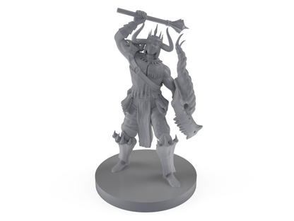 Cleric of Tiamat Tabletop DND Gaming Miniature