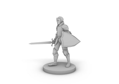 Conquest Paladin Sword and shield Tabletop DND Gaming Miniature