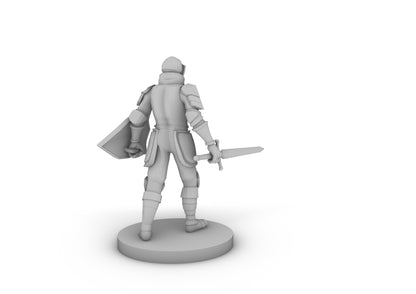 Conquest Paladin Sword and shield Tabletop DND Gaming Miniature