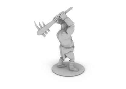 Cyclops Tabletop DND Gaming Miniature