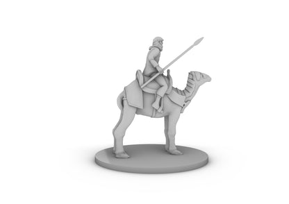 Desert Warrior on Camel Tabletop DND Gaming Miniature