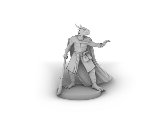 Dragonborn Sorcerer Psion With Glaive Tabletop DND Gaming Miniature