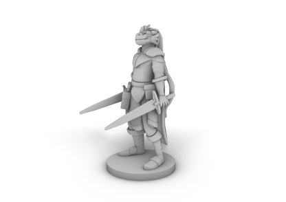 Dragonborn Two Sword Ranger Tabletop DND Gaming Miniature