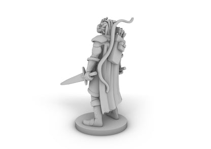 Dragonborn Two Sword Ranger Tabletop DND Gaming Miniature