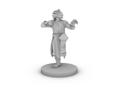 Dragonborn Monk Male Tabletop DND Gaming Miniature