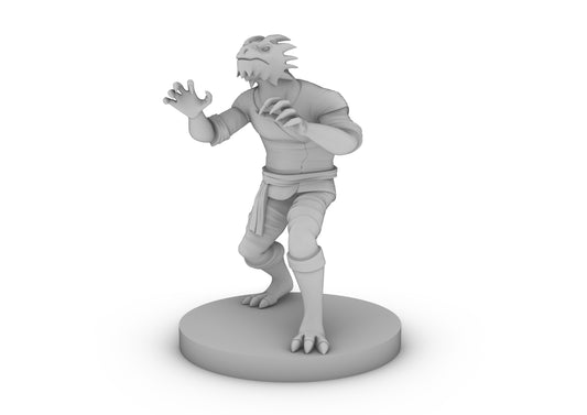 Dragonborn Monk Male 2 Tabletop DND Gaming Miniature