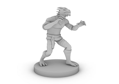 Dragonborn Monk Male 2 Tabletop DND Gaming Miniature