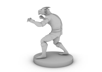 Dragonborn Monk Male 2 Tabletop DND Gaming Miniature