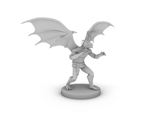 Dragonborn Male Monk With Wings Tabletop DND Gaming Miniature