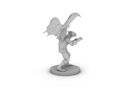 Dragonborn Male Monk With Wings Tabletop DND Gaming Miniature