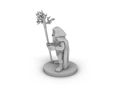 Dwarf Druid Tabletop DND Gaming Miniature