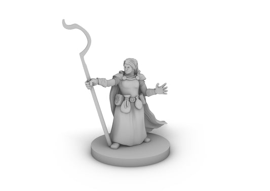 Dwarf Female Druid 2 Tabletop DND Gaming Miniature