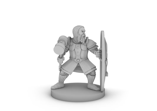 Dwarf Fighter W Tower Shield and Hammer Tabletop DND Gaming Miniature