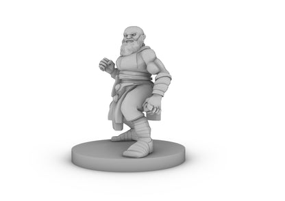 Dwarf Monk 2 Tabletop DND Gaming Miniature