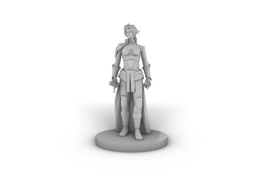 Elf Female Princess Rogue Tabletop DND Gaming Miniature