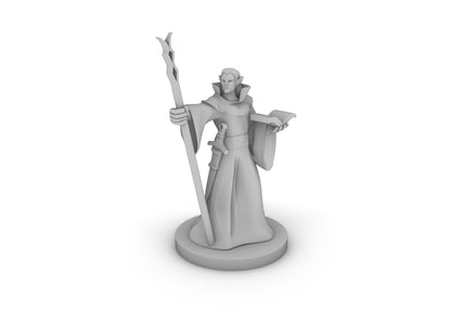 Elf Wizard 3 Tabletop DND Gaming Miniature