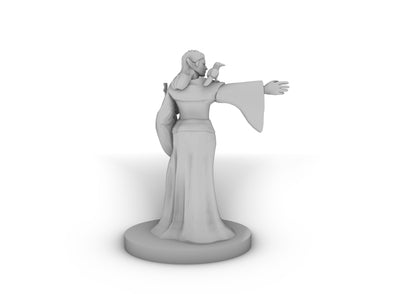 Elven Female Sorcerer With Raven Tabletop DND Gaming Miniature