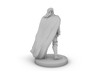 Elven Male Paladin Tabletop DND Gaming Miniature