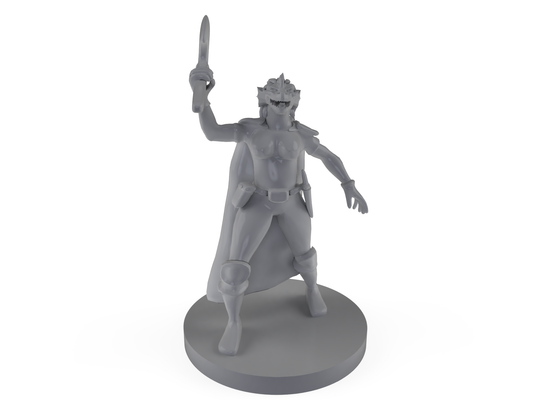 Female Dragonborn Barbarian Tabletop DND Gaming Miniature