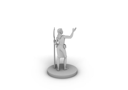 Female Elf Druid 3 Tabletop DND Gaming Miniature