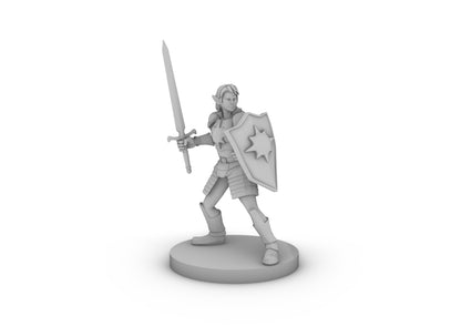 Female Elf Light Paladin With Sword and Kite Shield Tabletop DND Gaming Miniature