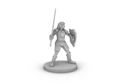 Female Elf Light Paladin With Sword and Kite Shield Tabletop DND Gaming Miniature