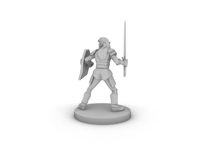 Female Elf Light Paladin With Sword and Kite Shield Tabletop DND Gaming Miniature