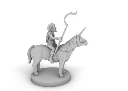 Gnome Male Druid on Pocket Unicorn Tabletop DND Gaming Miniature