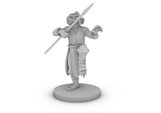 Gold Dragonborn Monk Male Tabletop DND Gaming Miniature