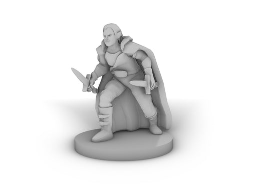 Half Elf Male Rogue Tabletop DND Gaming Miniature