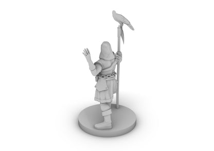 Half Elf Warlock 5 Tabletop DND Gaming Miniature