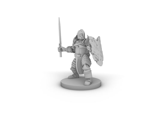 Helm Paladin Fancy Armor Cut up Shield Tabletop DND Gaming Miniature