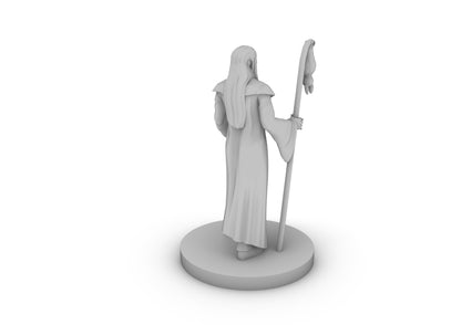 Human Wizard With Bat Familiar Tabletop DND Gaming Miniature