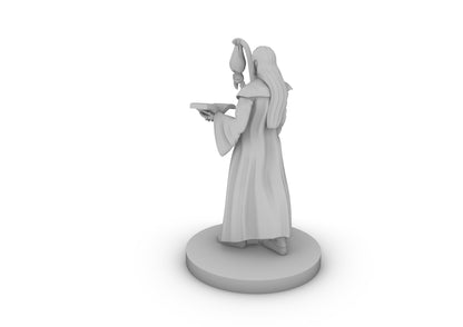 Human Wizard With Bat Familiar Tabletop DND Gaming Miniature