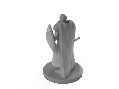 Noble Cleric Mace and shield Tabletop DND Gaming Miniature