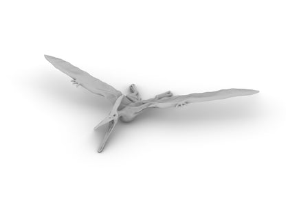 Pteranodon Tabletop DND Gaming Miniature