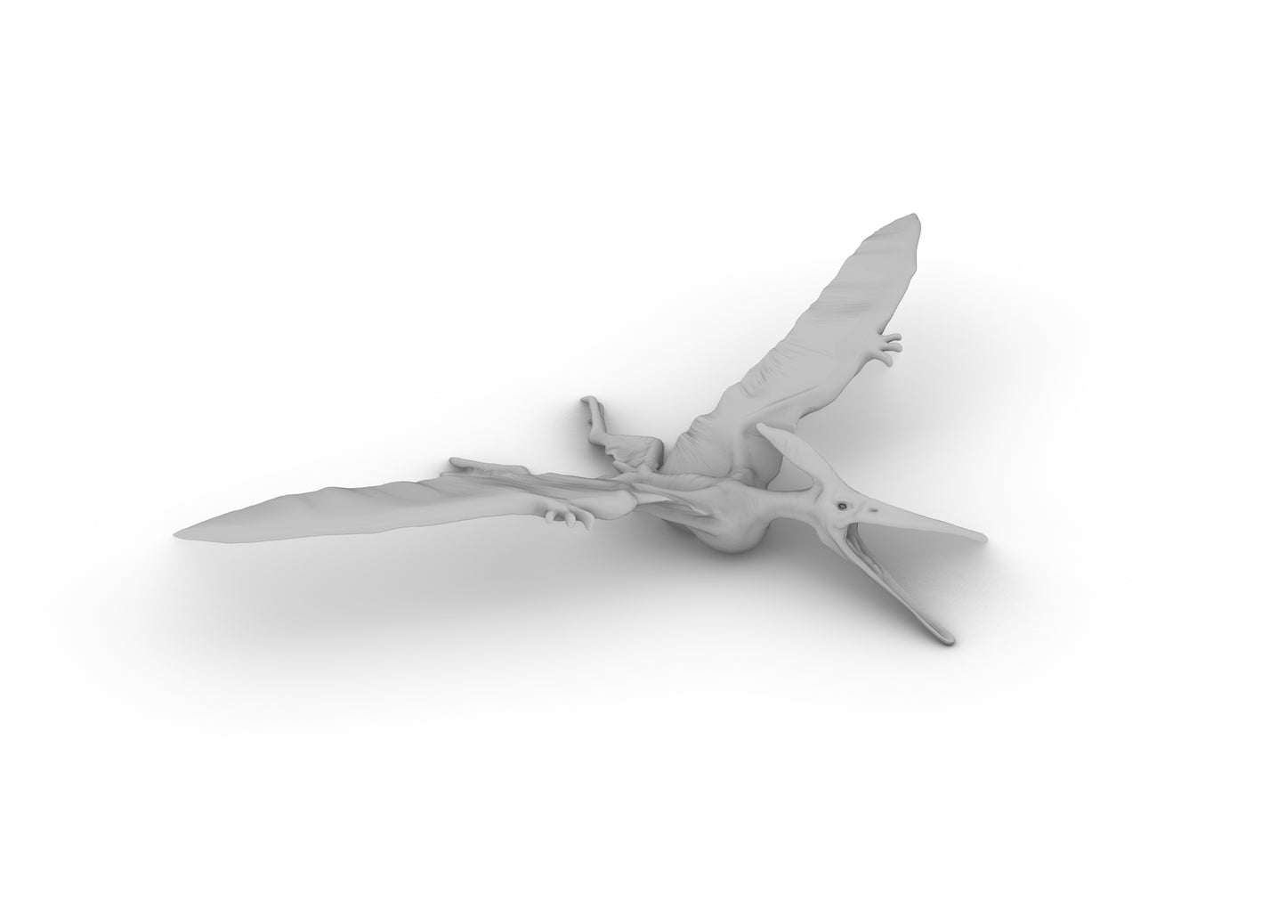 Pteranodon Tabletop DND Gaming Miniature