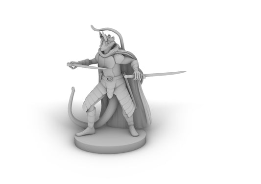 Tiefling Two Sword Ranger Tabletop DND Gaming Miniature