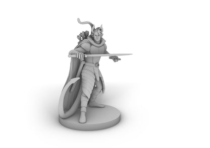 Tiefling Two Sword Ranger Tabletop DND Gaming Miniature