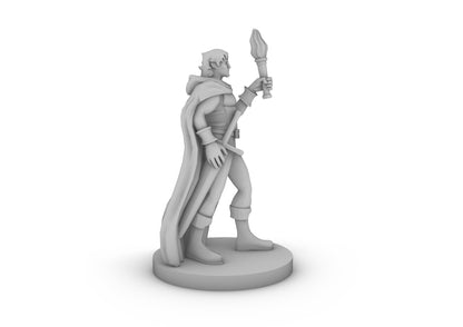 Wayfarer Tabletop DND Gaming Miniature