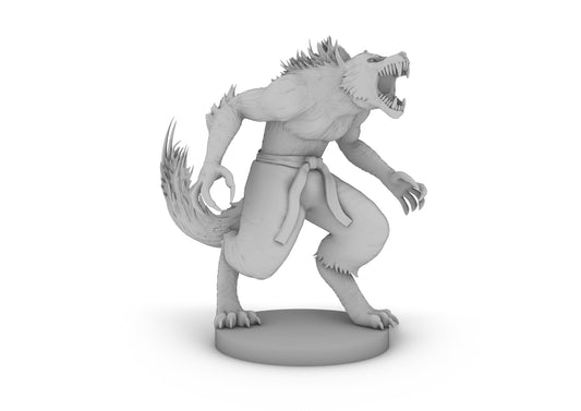 Werewolf Monk Tabletop DND Gaming Miniature